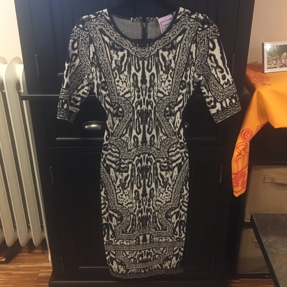 Herve Leger Fitted Dress